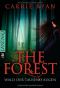 [The Forest 01] • Wald der tausend Augen